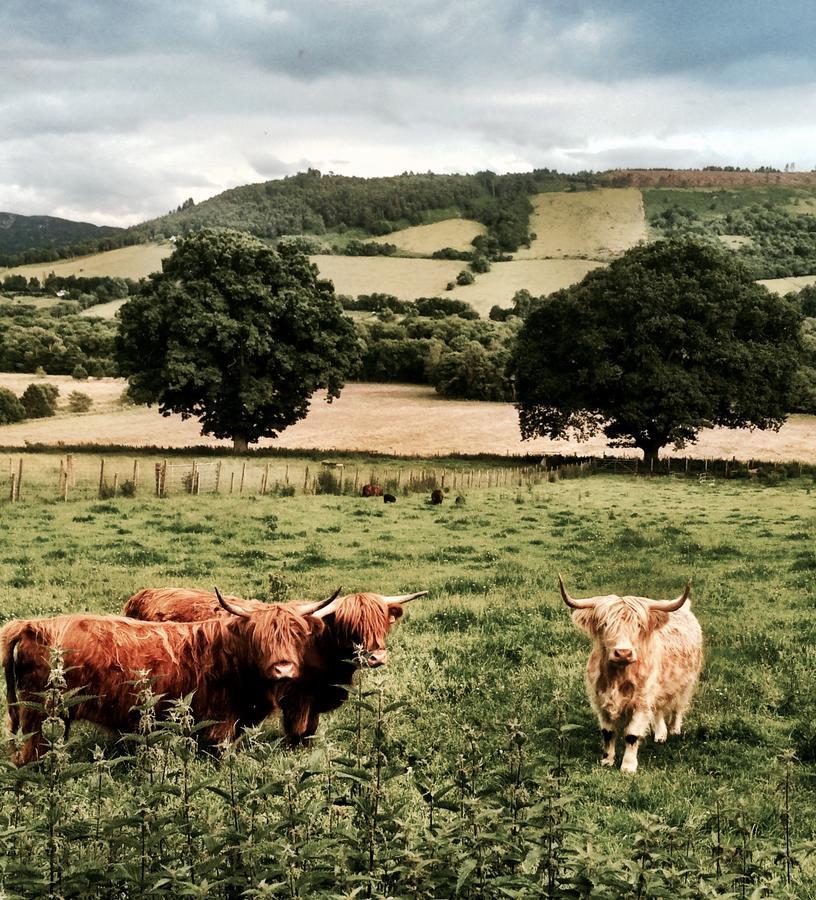 Drumbuie Farm