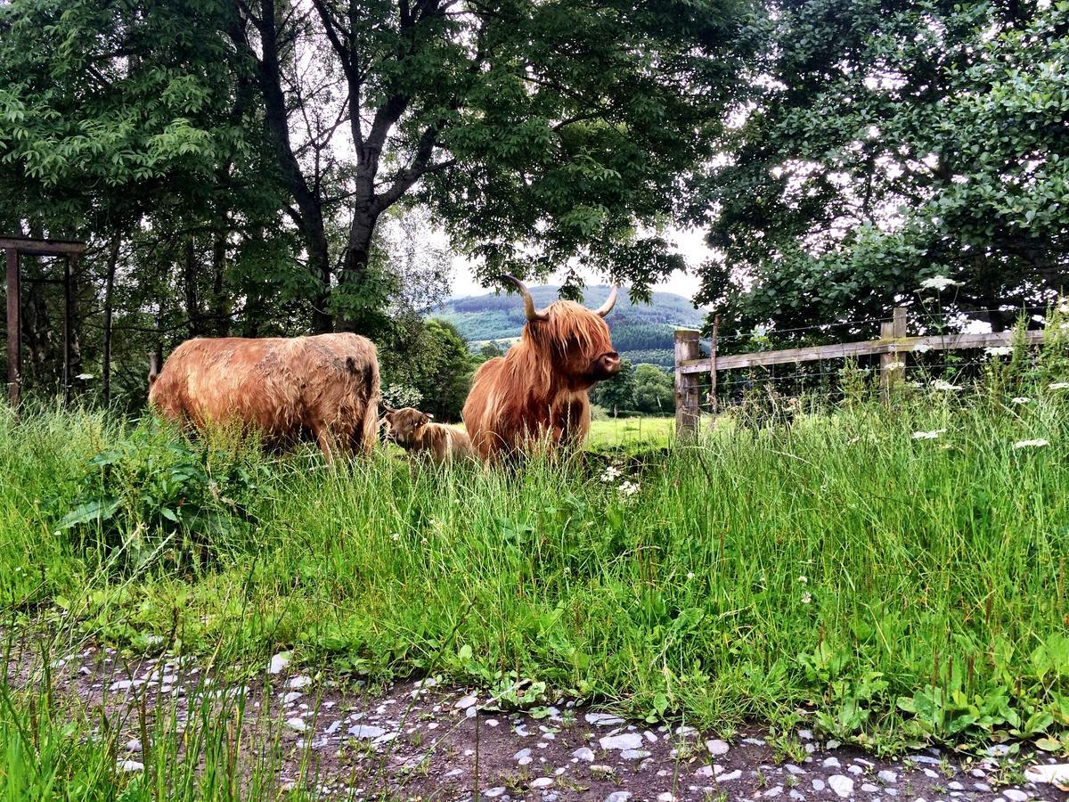 Drumbuie Farm Drumnadrochit