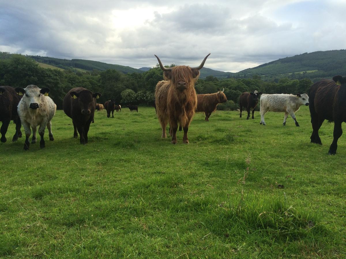 Drumbuie Farm 4* Drumnadrochit
